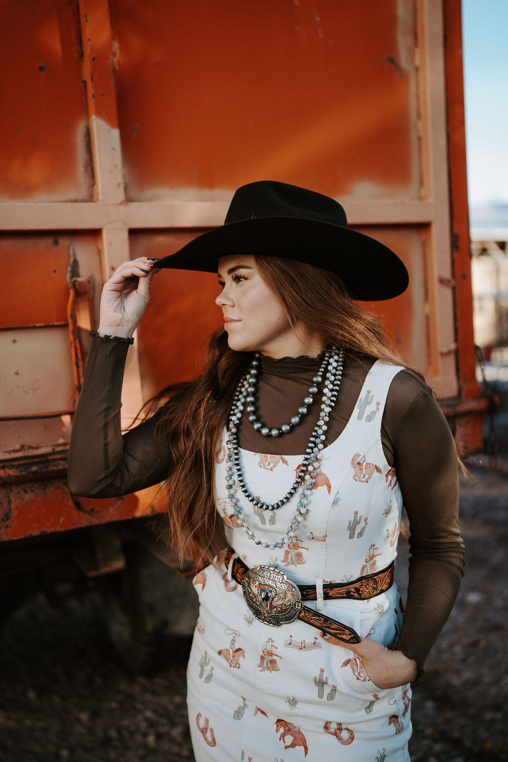 Western Print Dress