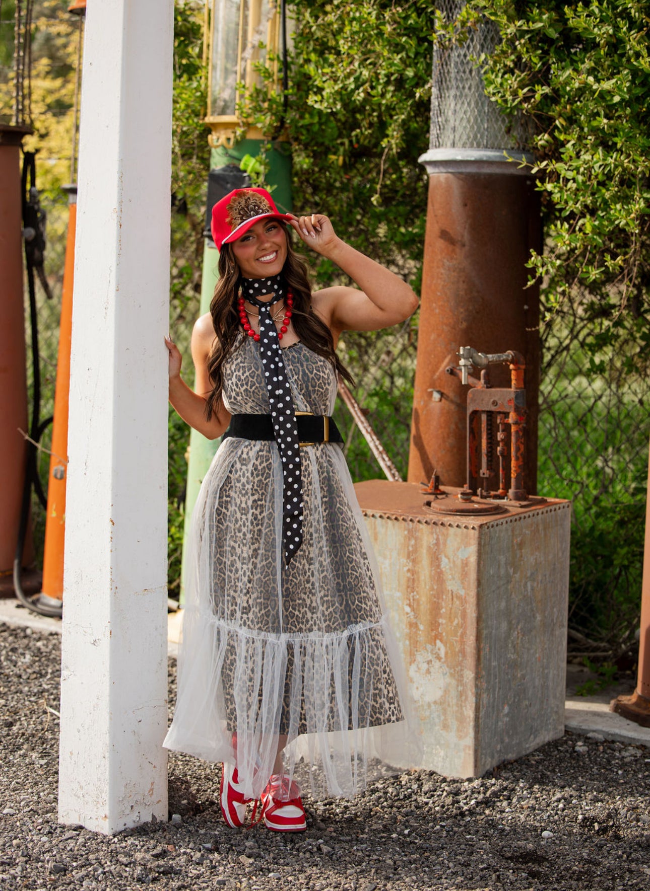 Cheetah Print Mesh Dress