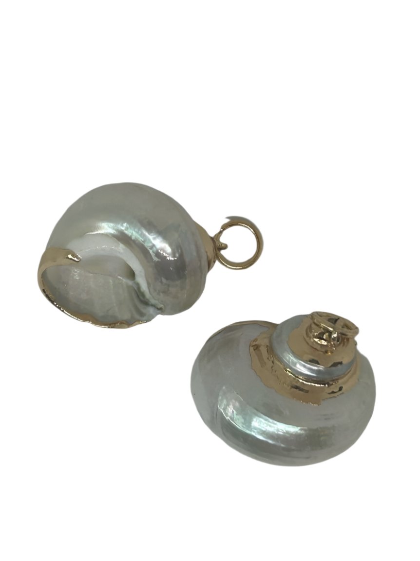 Iridescent Shell Charm