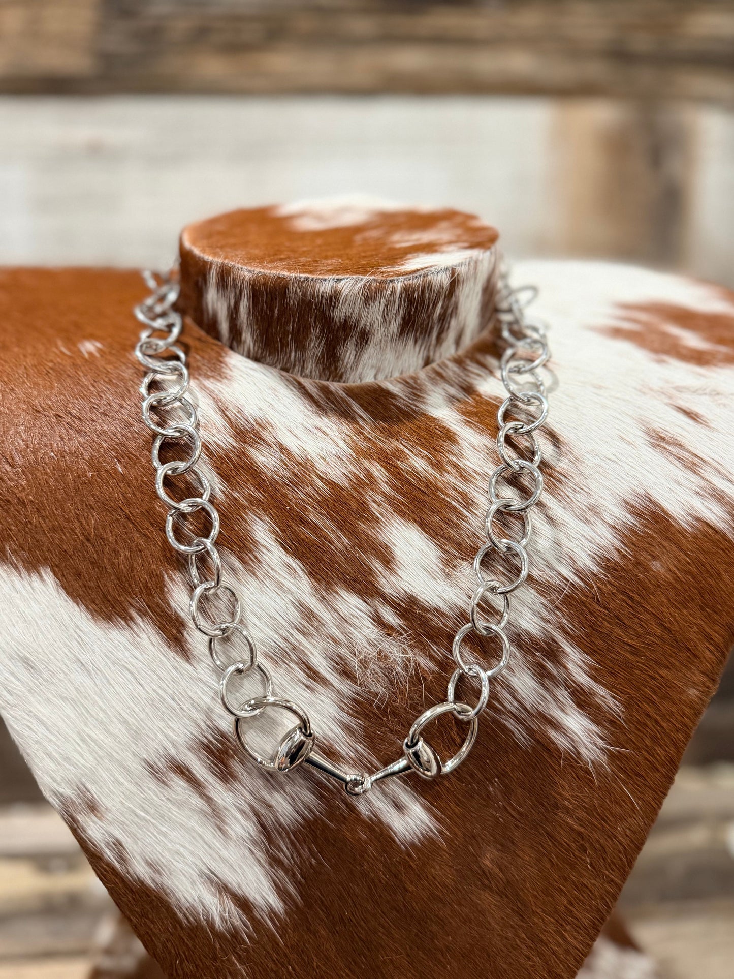 Silver Circle Bit Necklace